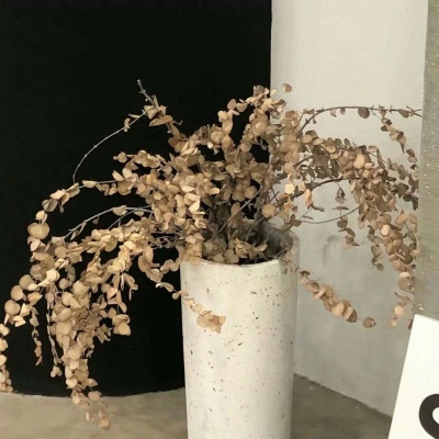 Furry绘画质感提升福瑞交流群